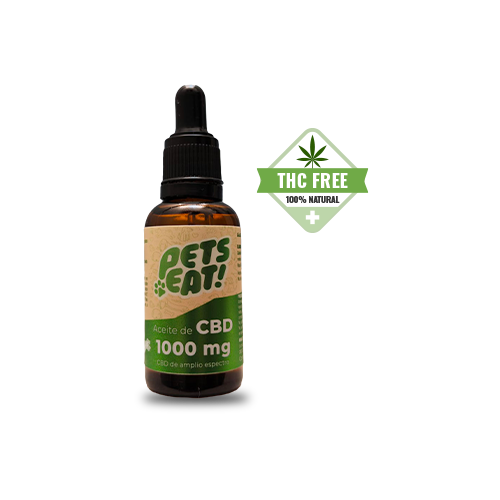 CBD para perros y gatos en Costa Rica: guía para tutores