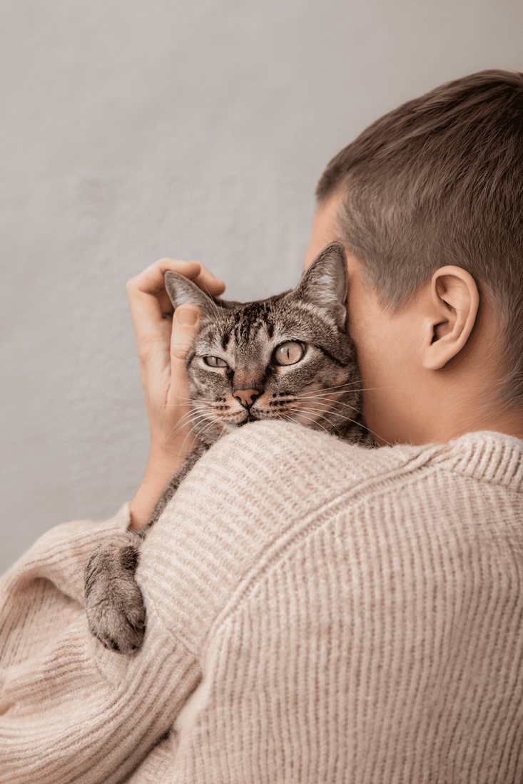 Gato en calma junto a su tutor — CBD de amplio espectro sin THC para gatos