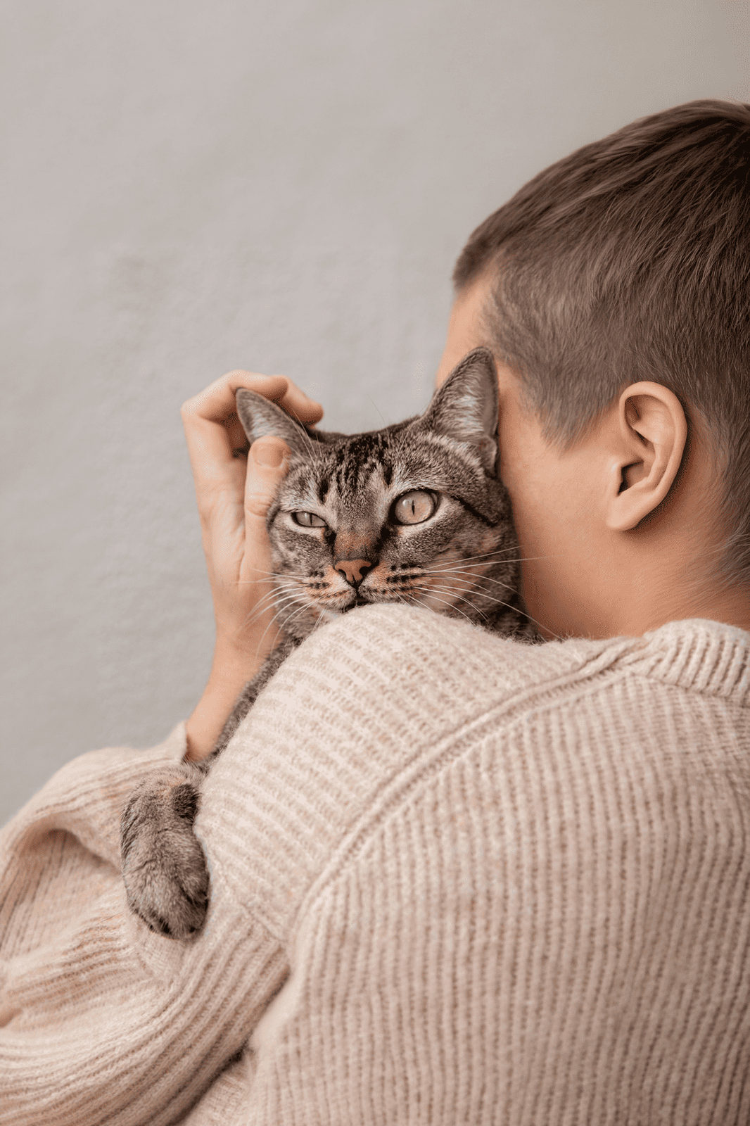 Bienestar emocional en perros y gatos: señales que no debes ignorar
